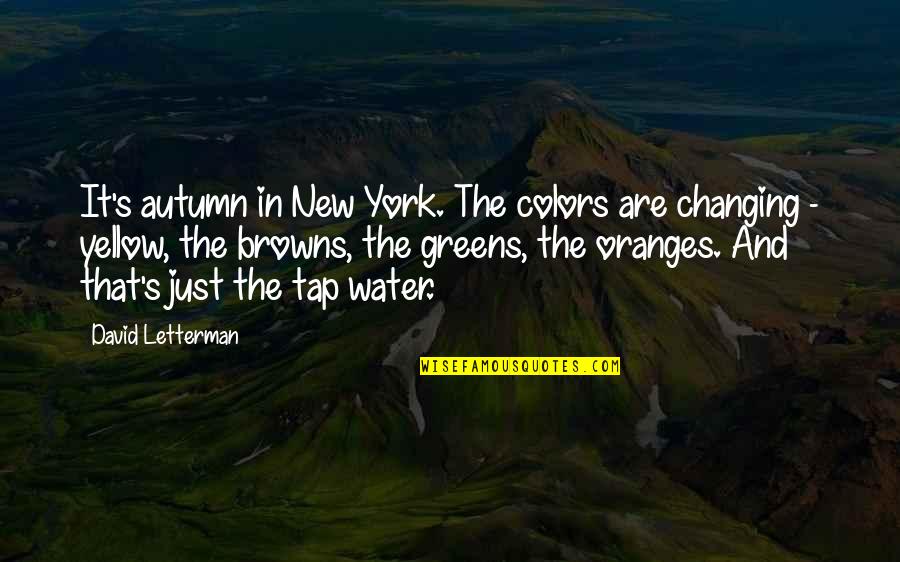 Autumn And Quotes By David Letterman: It's autumn in New York. The colors are