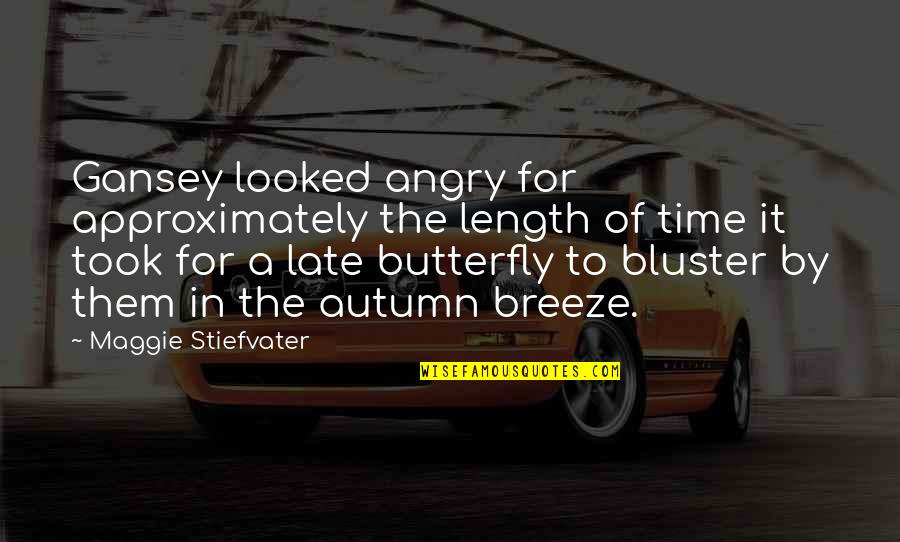 Autumn Breeze Quotes By Maggie Stiefvater: Gansey looked angry for approximately the length of Autumn Breeze Quotes By Maggie Stiefvater: Gansey looked angry for approximately the length of