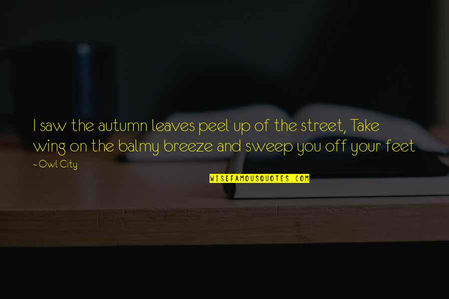 Autumn Breeze Quotes By Owl City: I saw the autumn leaves peel up of Autumn Breeze Quotes By Owl City: I saw the autumn leaves peel up of