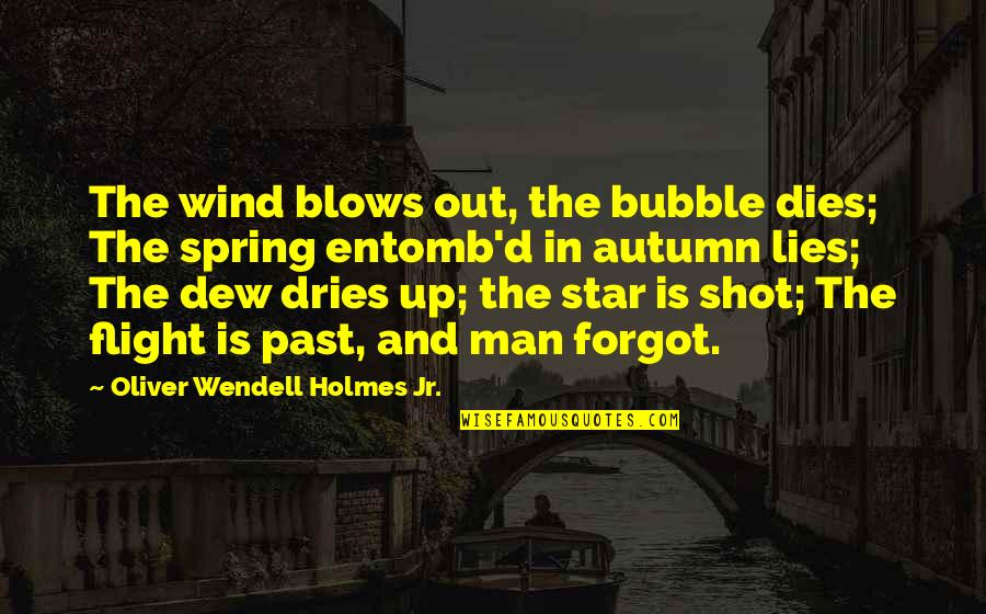 Autumn Dew Quotes By Oliver Wendell Holmes Jr.: The wind blows out, the bubble dies; The