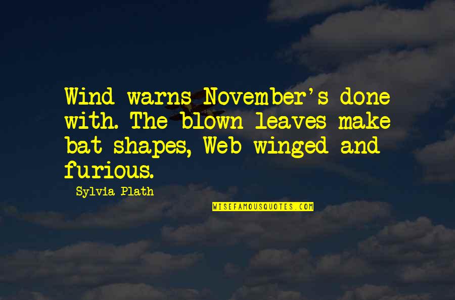 Autumn Foliage Quotes By Sylvia Plath: Wind warns November's done with. The blown leaves