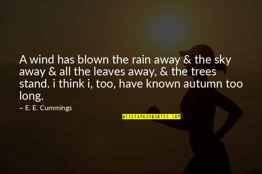 Autumn Inspirational Quotes By E. E. Cummings: A wind has blown the rain away &