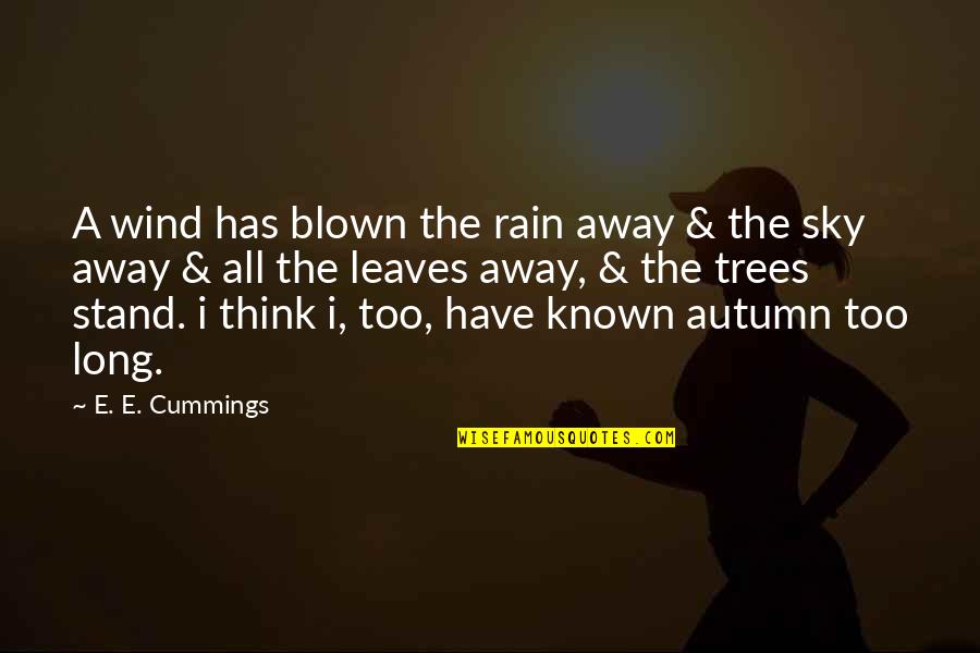 Autumn Leaves Quotes By E. E. Cummings: A wind has blown the rain away &