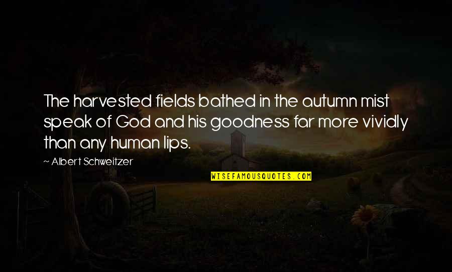 Autumn Mist Quotes By Albert Schweitzer: The harvested fields bathed in the autumn mist