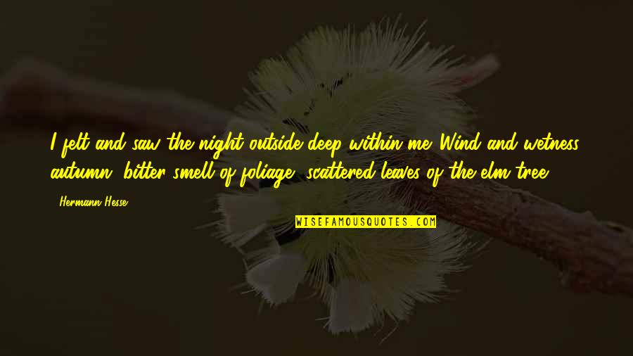 Autumn Night Quotes By Hermann Hesse: I felt and saw the night outside deep