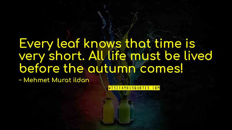 Autumn Of My Life Quotes By Mehmet Murat Ildan: Every leaf knows that time is very short. Autumn Of My Life Quotes By Mehmet Murat Ildan: Every leaf knows that time is very short.