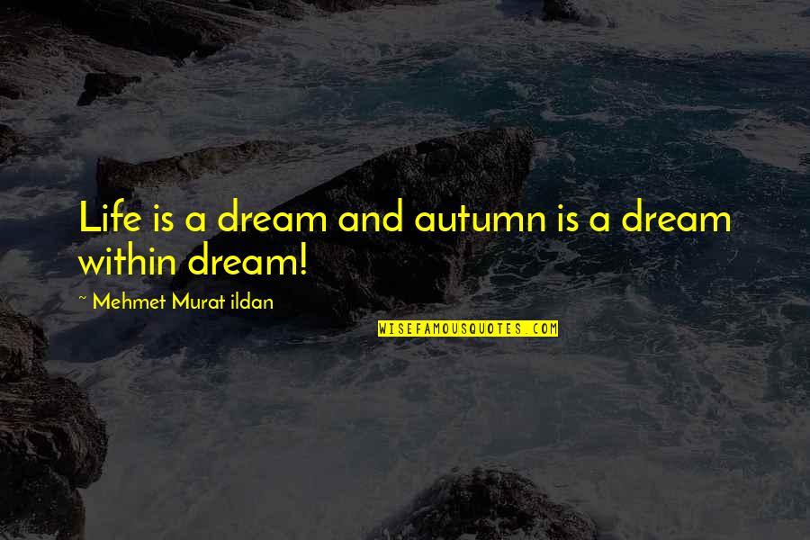 Autumn Of My Life Quotes By Mehmet Murat Ildan: Life is a dream and autumn is a Autumn Of My Life Quotes By Mehmet Murat Ildan: Life is a dream and autumn is a