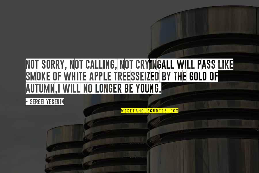 Autumn Of My Life Quotes By Sergei Yesenin: Not sorry, not calling, not cryingAll will pass Autumn Of My Life Quotes By Sergei Yesenin: Not sorry, not calling, not cryingAll will pass