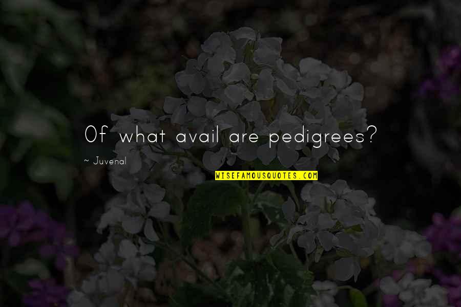 Avail Quotes By Juvenal: Of what avail are pedigrees?