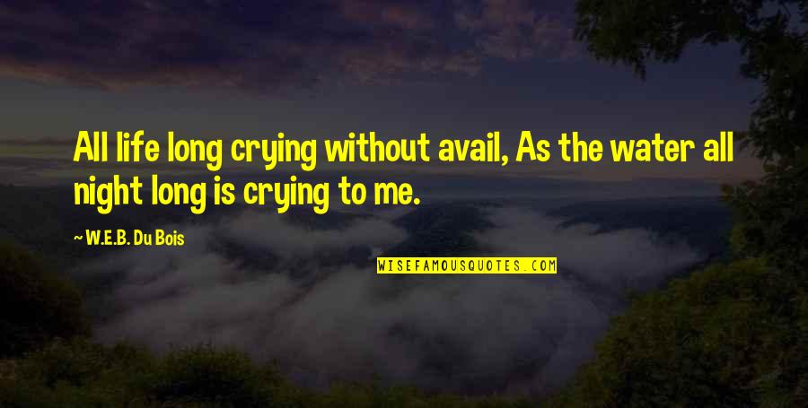 Avail Quotes By W.E.B. Du Bois: All life long crying without avail, As the