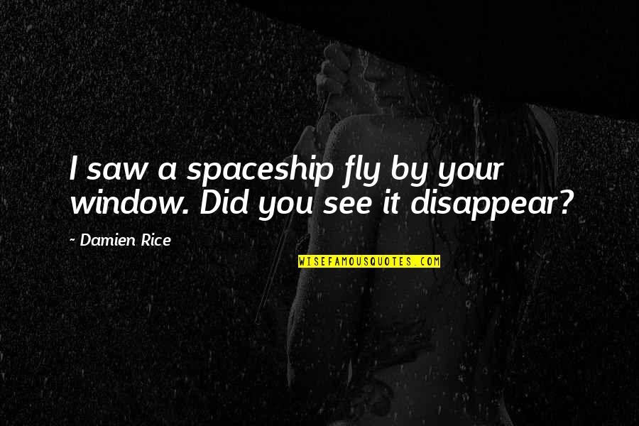 Avaken Quotes By Damien Rice: I saw a spaceship fly by your window.