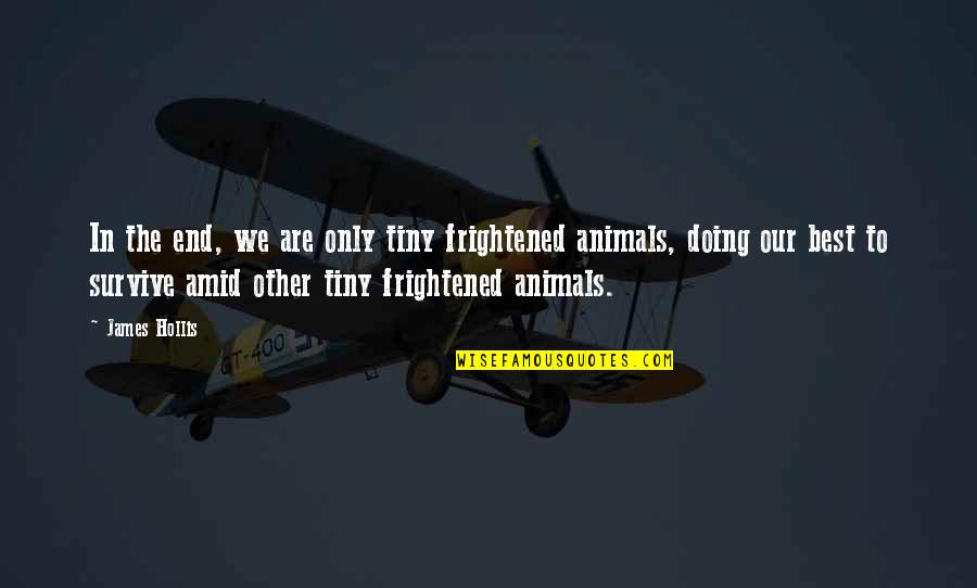 Avaliaref Quotes By James Hollis: In the end, we are only tiny frightened