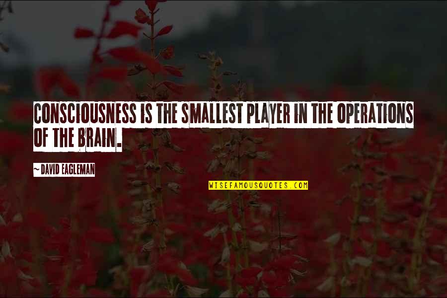 Avalleyviewhotlunch Quotes By David Eagleman: Consciousness is the smallest player in the operations Avalleyviewhotlunch Quotes By David Eagleman: Consciousness is the smallest player in the operations