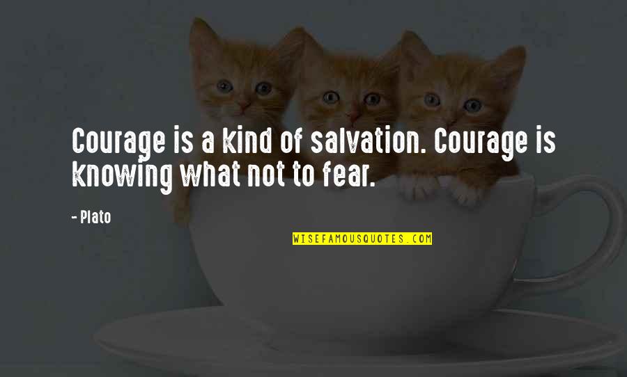 Avano Sous Vide Quotes By Plato: Courage is a kind of salvation. Courage is