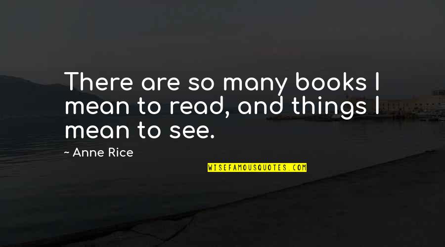 Avanzino Quotes By Anne Rice: There are so many books I mean to