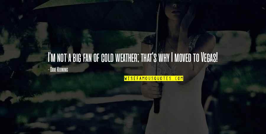Avasallamiento Injusticia Quotes By Dave Keuning: I'm not a big fan of cold weather;