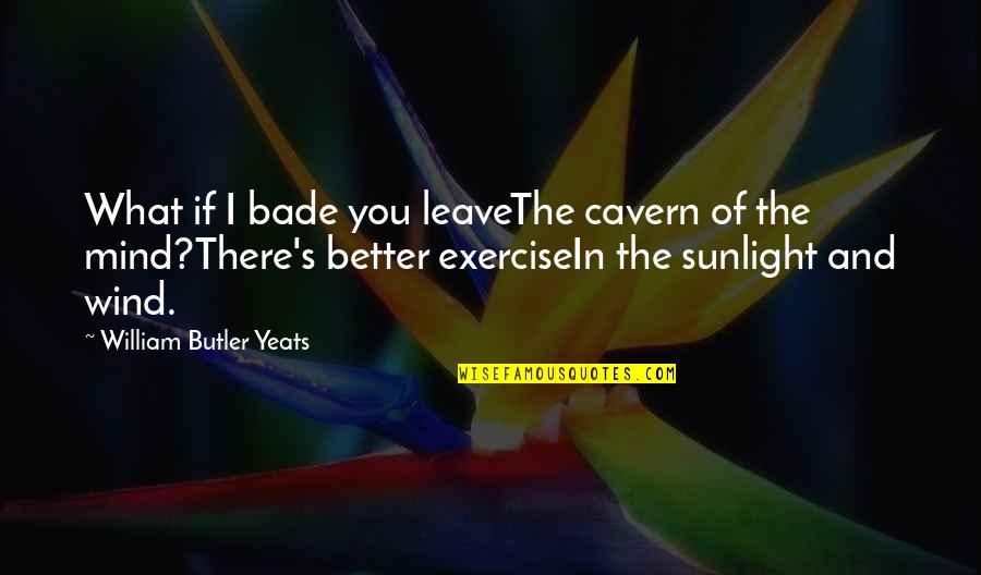 Avdotya Quotes By William Butler Yeats: What if I bade you leaveThe cavern of