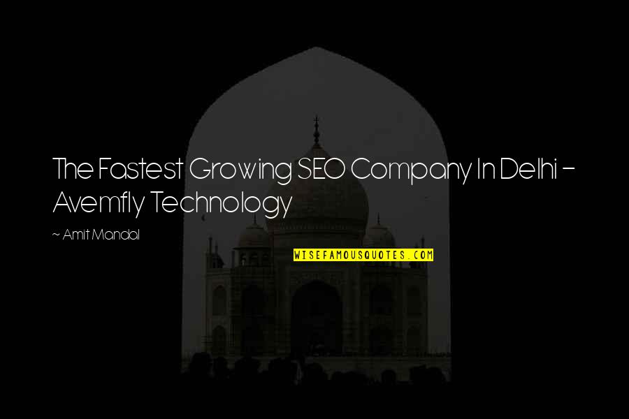 Avemfly Quotes By Amit Mandal: The Fastest Growing SEO Company In Delhi -