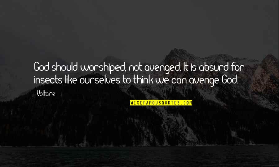 Avenge Quotes By Voltaire: God should worshiped, not avenged. It is absurd