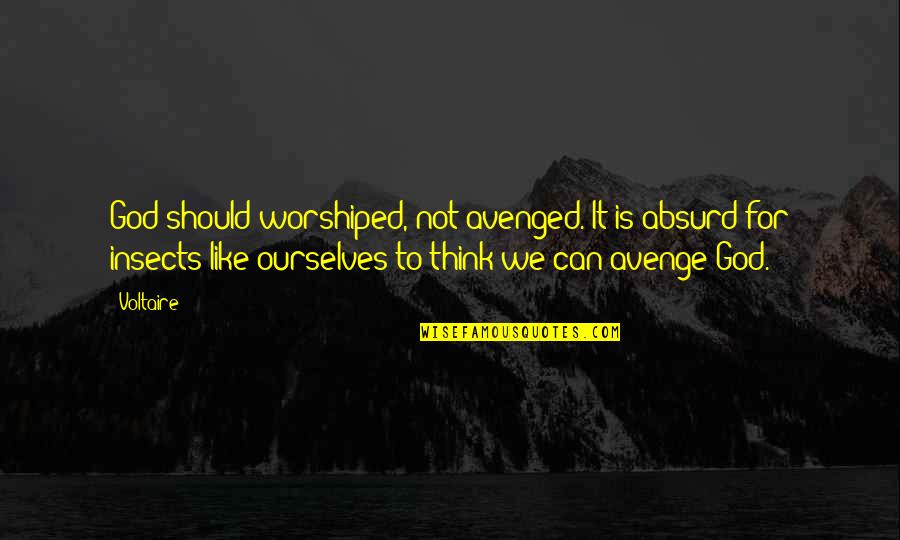 Avenged Quotes By Voltaire: God should worshiped, not avenged. It is absurd