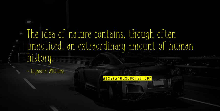 Avenged Sevenfold A Little Piece Of Heaven Quotes By Raymond Williams: The idea of nature contains, though often unnoticed,