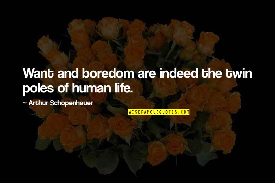 Avenged Sevenfold Music Quotes By Arthur Schopenhauer: Want and boredom are indeed the twin poles