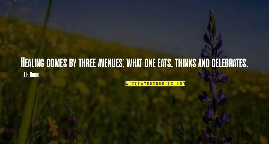 Avenues Quotes By T.F. Hodge: Healing comes by three avenues; what one eats,