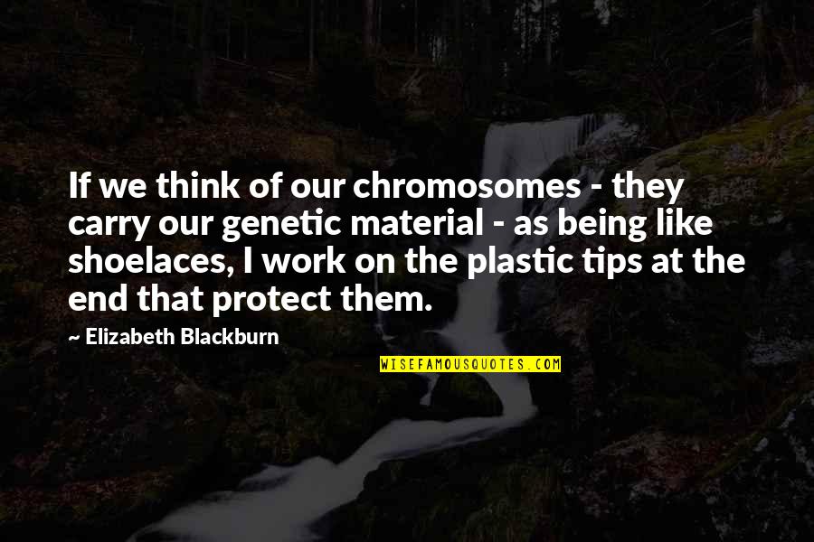 Averages Quotes By Elizabeth Blackburn: If we think of our chromosomes - they Averages Quotes By Elizabeth Blackburn: If we think of our chromosomes - they