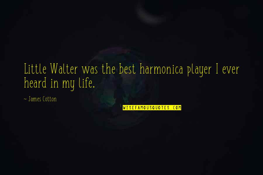 Avett Lyric Quotes By James Cotton: Little Walter was the best harmonica player I