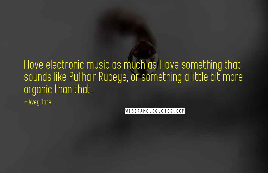 Avey Tare quotes: I love electronic music as much as I love something that sounds like Pullhair Rubeye, or something a little bit more organic than that.