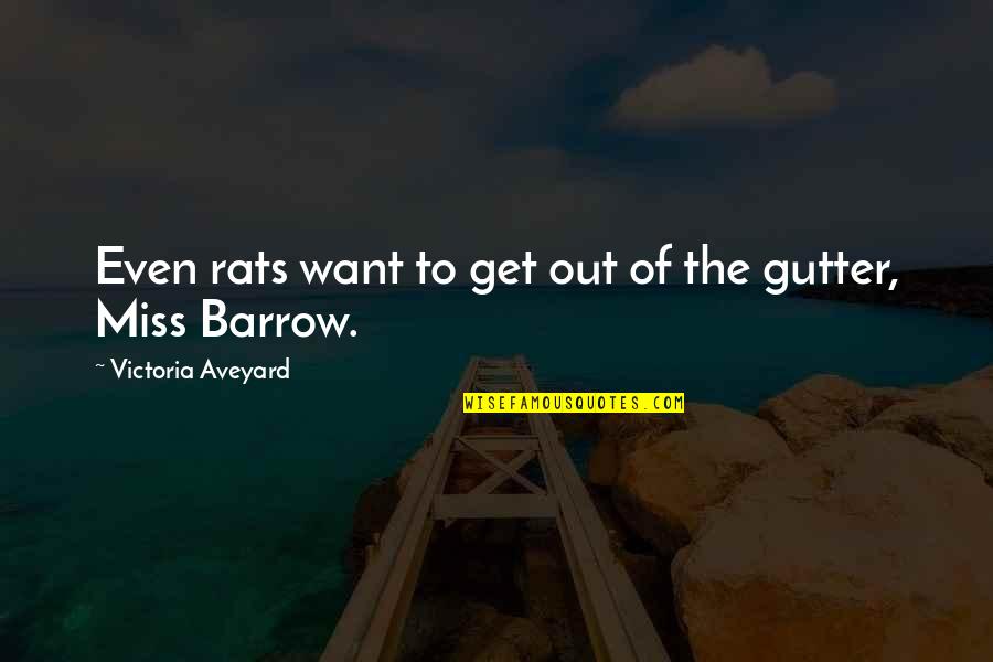 Aveyard Quotes By Victoria Aveyard: Even rats want to get out of the