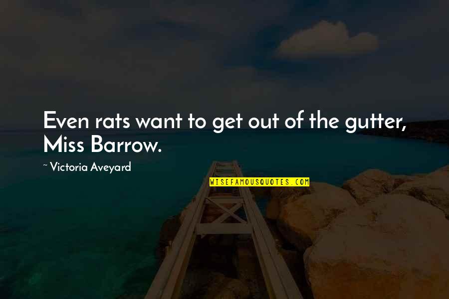 Aveyard Quotes By Victoria Aveyard: Even rats want to get out of the Aveyard Quotes By Victoria Aveyard: Even rats want to get out of the