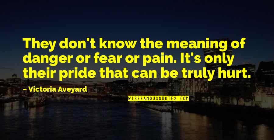 Aveyard Quotes By Victoria Aveyard: They don't know the meaning of danger or