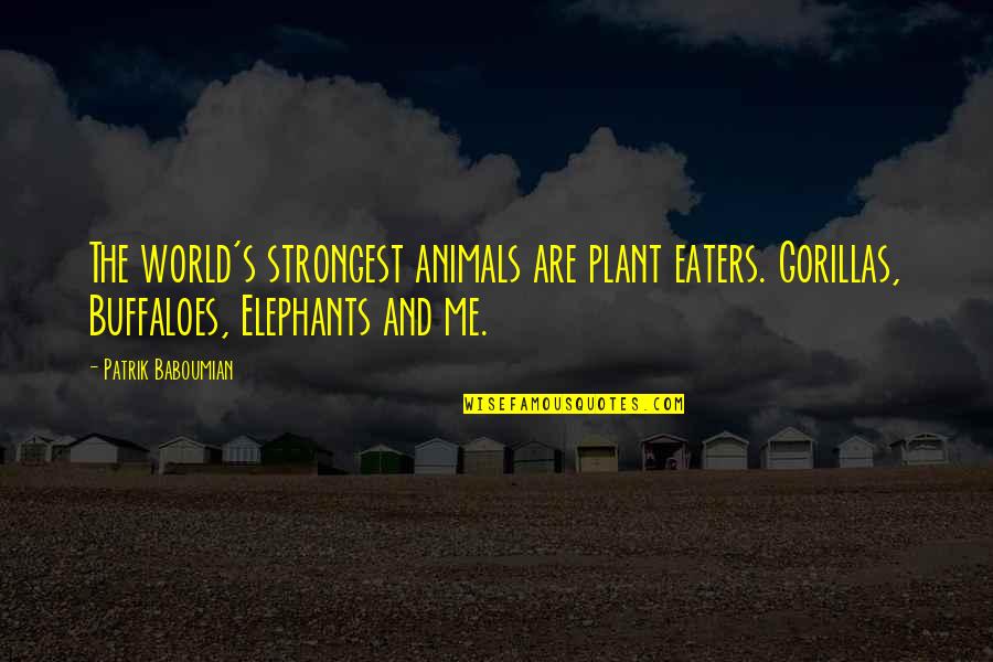 Avianca Quotes By Patrik Baboumian: The world's strongest animals are plant eaters. Gorillas,