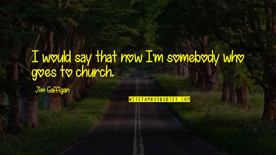 Aviano Font Quotes By Jim Gaffigan: I would say that now I'm somebody who Aviano Font Quotes By Jim Gaffigan: I would say that now I'm somebody who