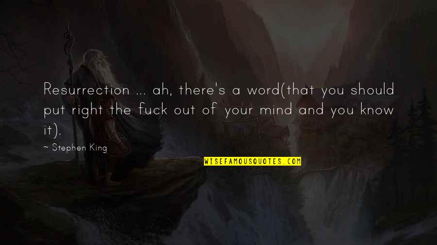 Avianos Thomaston Quotes By Stephen King: Resurrection ... ah, there's a word(that you should