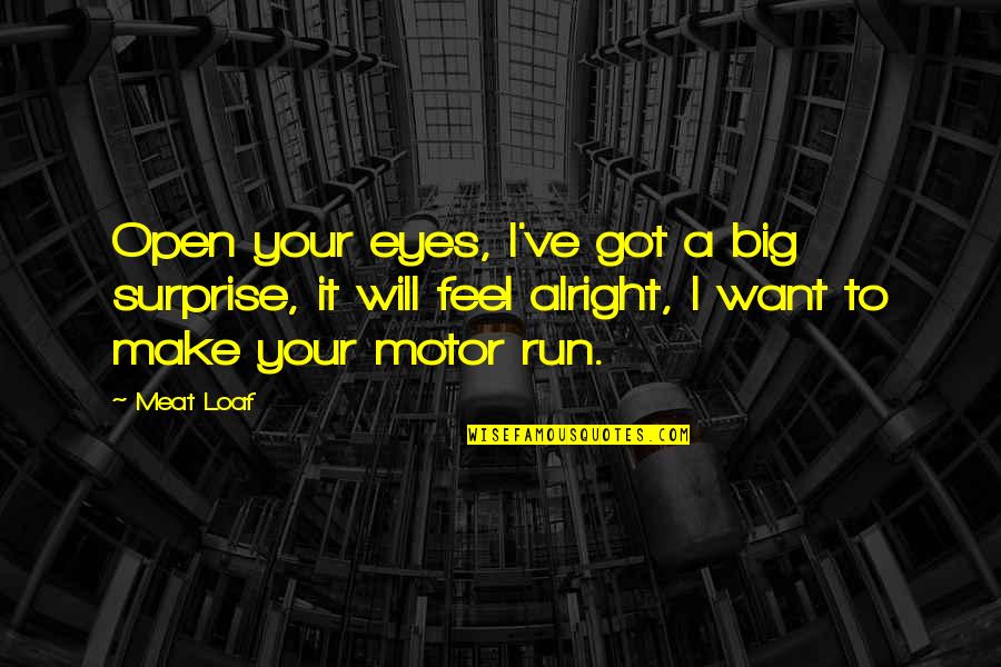 Aviator Shades Quotes By Meat Loaf: Open your eyes, I've got a big surprise,