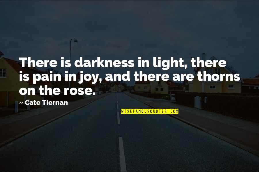 Avich Quotes By Cate Tiernan: There is darkness in light, there is pain