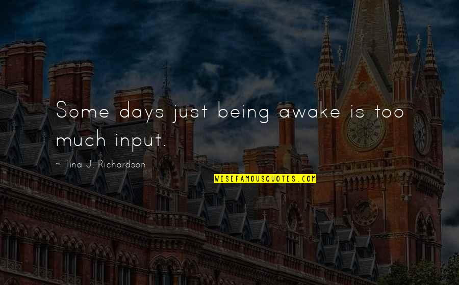Aviendha Quotes By Tina J. Richardson: Some days just being awake is too much