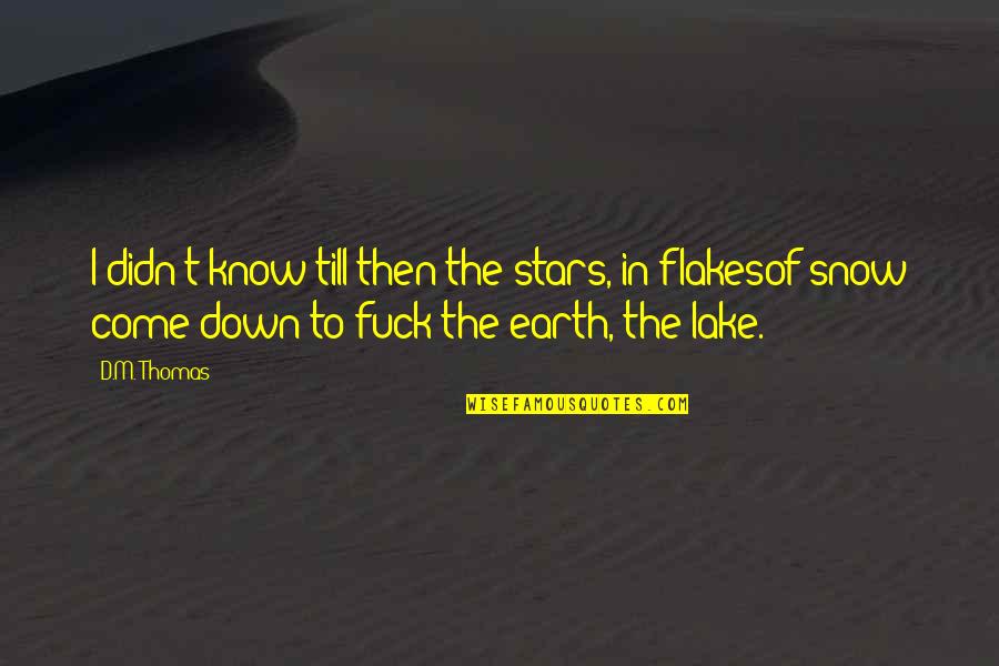 Avilir Quotes By D.M. Thomas: I didn't know till then the stars, in Avilir Quotes By D.M. Thomas: I didn't know till then the stars, in