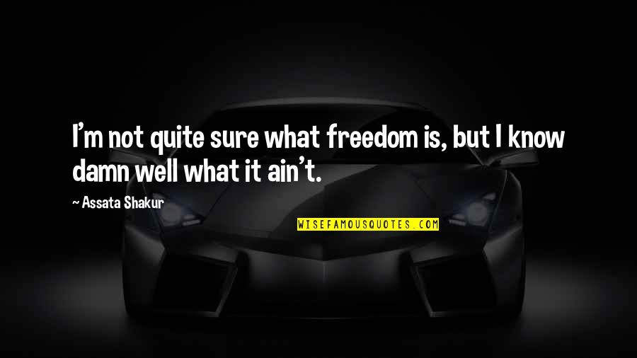 Avinger Quotes By Assata Shakur: I'm not quite sure what freedom is, but
