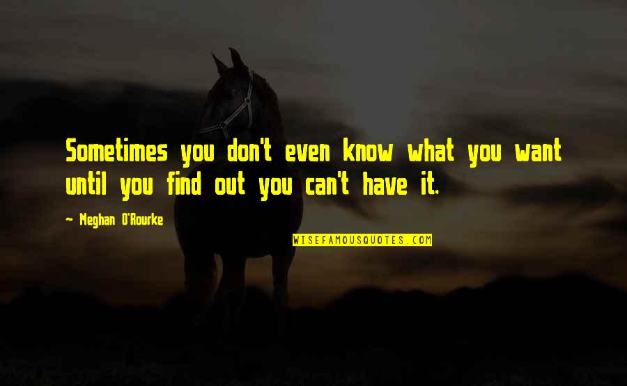 Avion Quotes By Meghan O'Rourke: Sometimes you don't even know what you want