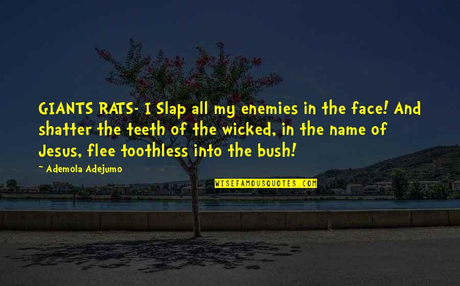 Avion Roe Quotes By Ademola Adejumo: GIANTS RATS- I Slap all my enemies in