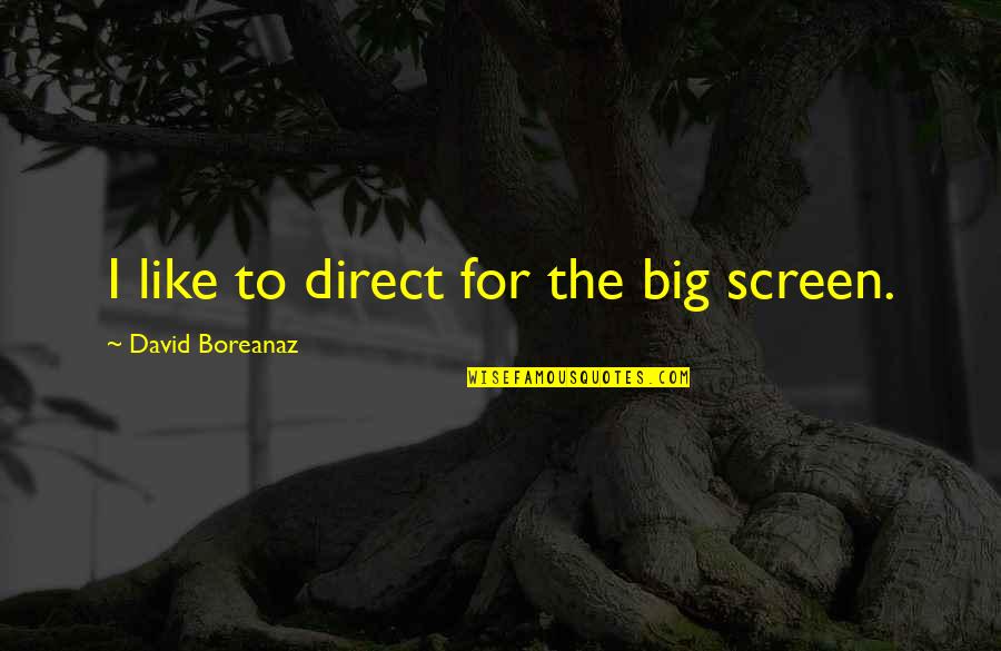 Aviv's Quotes By David Boreanaz: I like to direct for the big screen. Aviv's Quotes By David Boreanaz: I like to direct for the big screen.