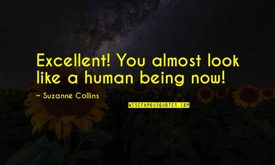 Avlis Partners Quotes By Suzanne Collins: Excellent! You almost look like a human being Avlis Partners Quotes By Suzanne Collins: Excellent! You almost look like a human being