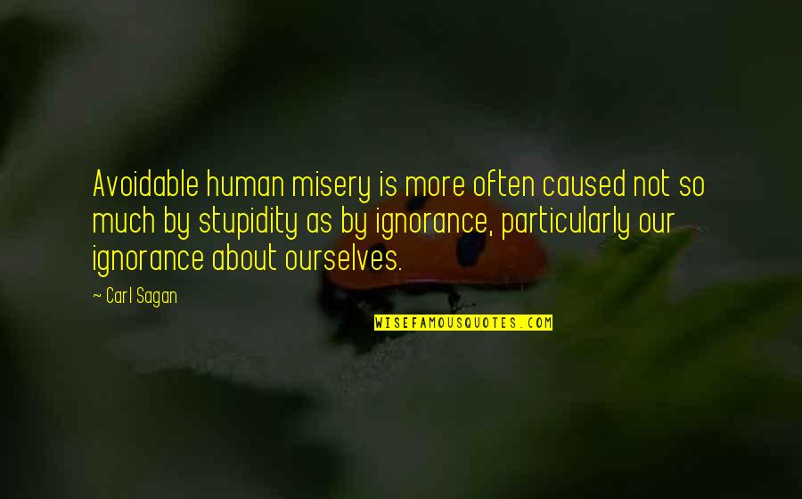 Avoidable Quotes By Carl Sagan: Avoidable human misery is more often caused not