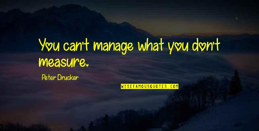 Avoidant Quotes By Peter Drucker: You can't manage what you don't measure.