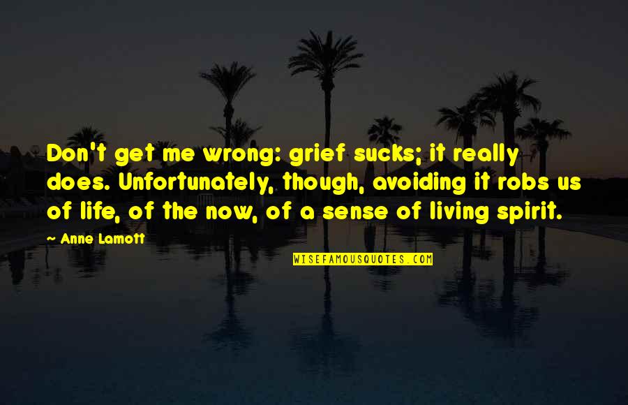 Avoiding Me Quotes By Anne Lamott: Don't get me wrong: grief sucks; it really