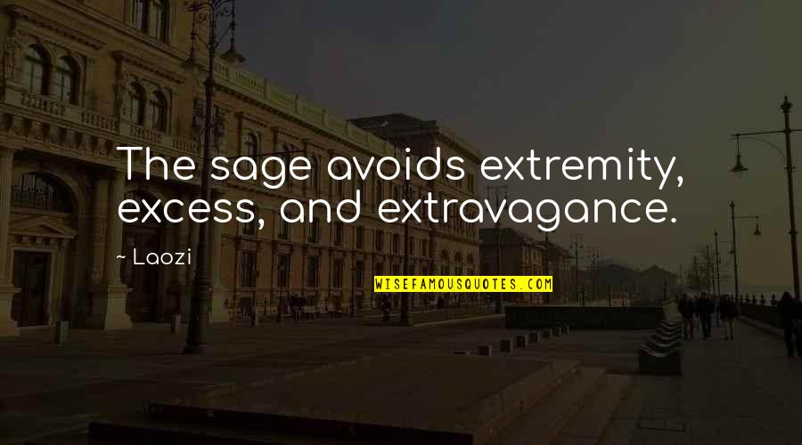 Avoids Quotes By Laozi: The sage avoids extremity, excess, and extravagance.