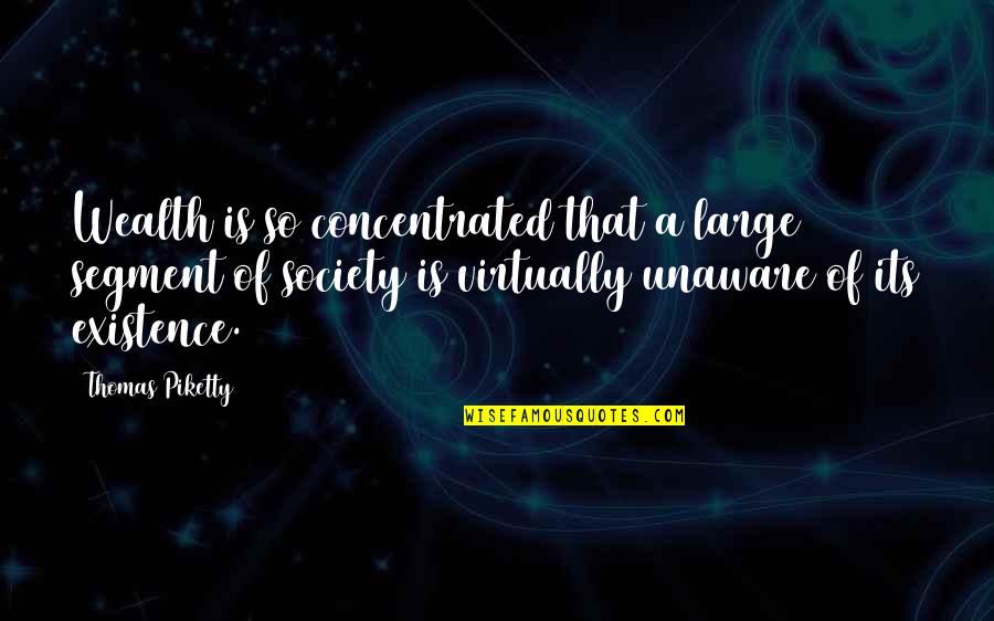 Avrial Mendoza Quotes By Thomas Piketty: Wealth is so concentrated that a large segment